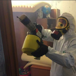 Уничтожение клопов в квартире. Нариманов